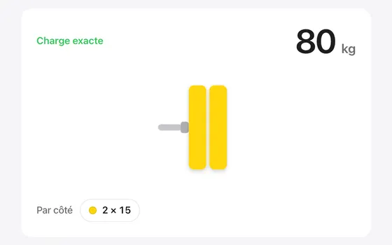 Disques maison : l’outil web avec un exemple saisi et son résultat calculé